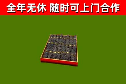 宁远回收海参